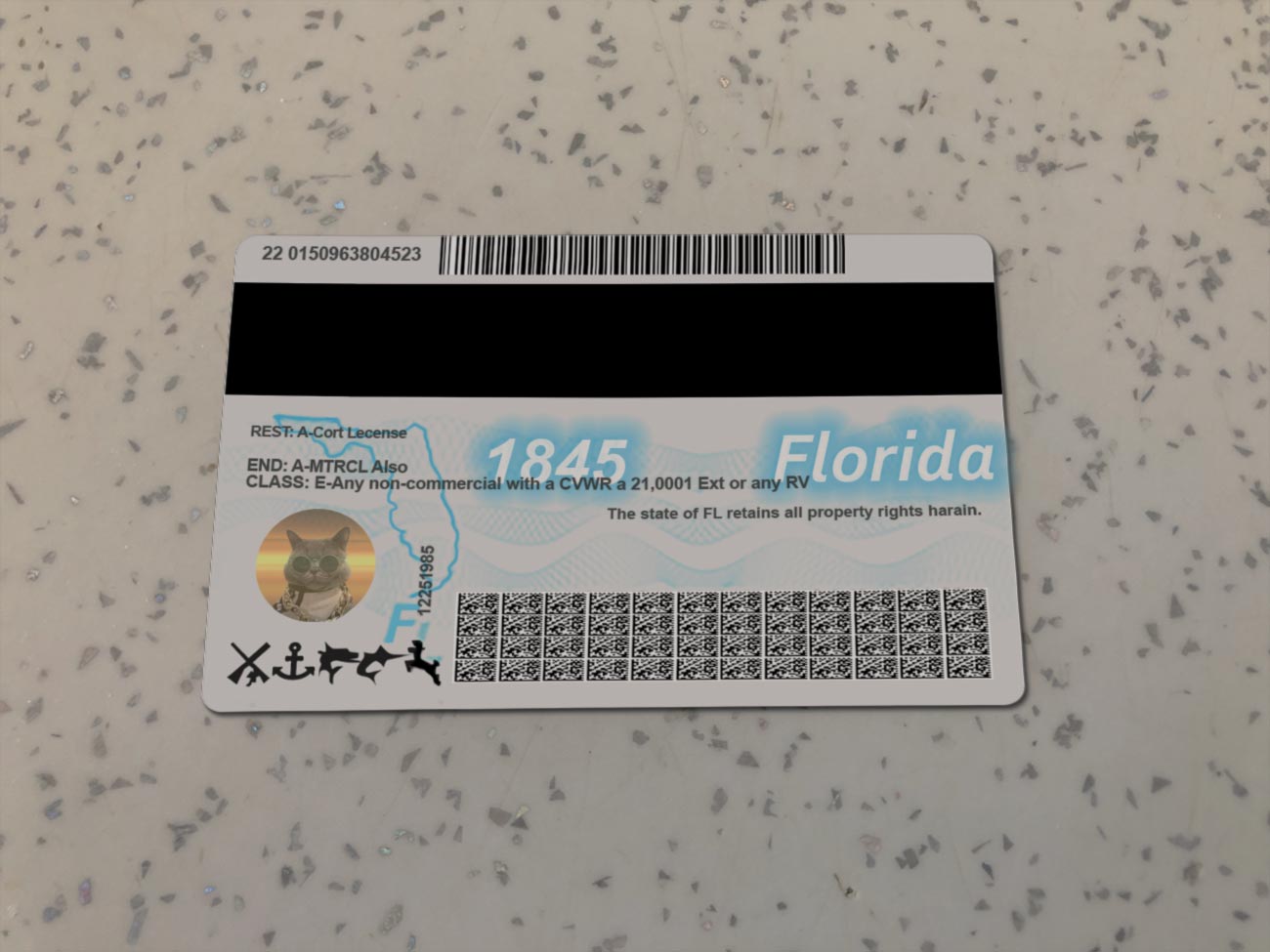 Florida Template - Image 2