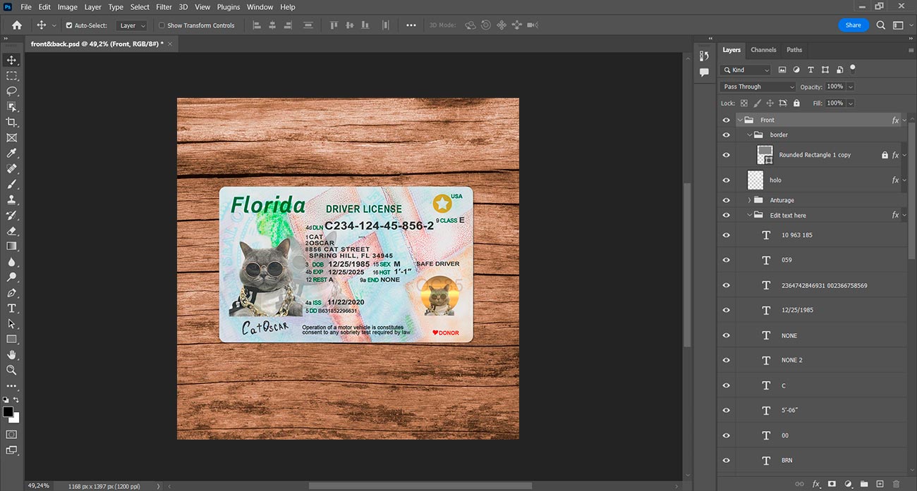Florida Template - Image 3