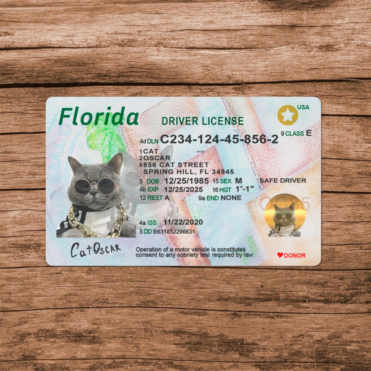 Florida Template - Image 5