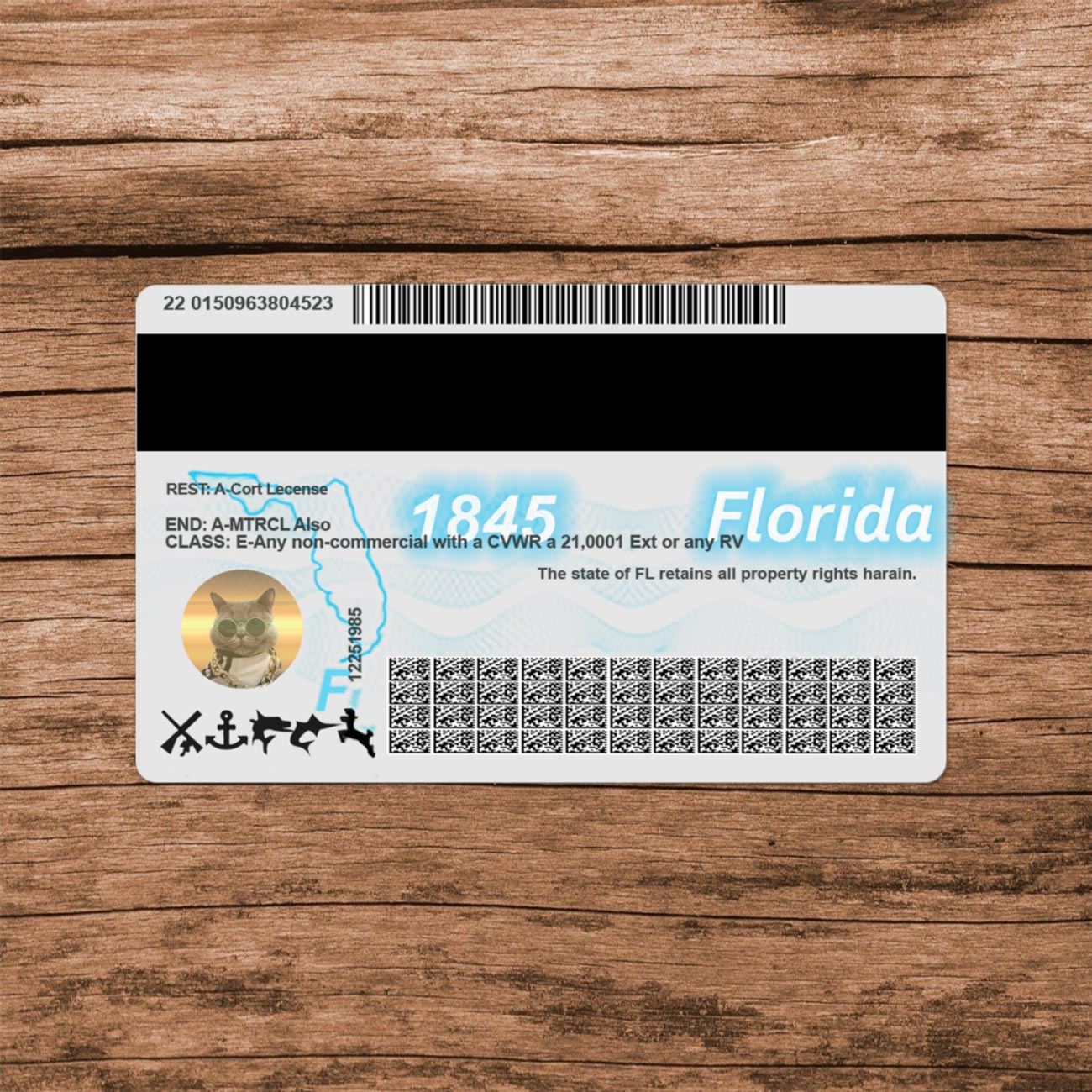 Florida Template - Image 6