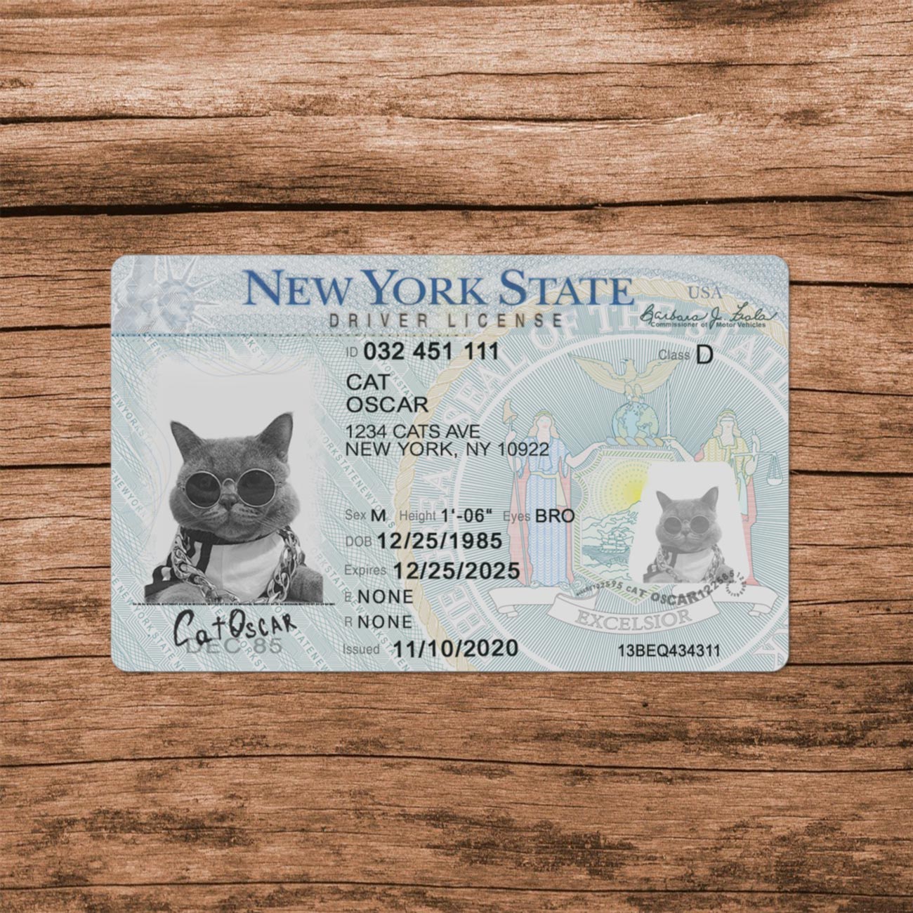 New York Template - Image 5