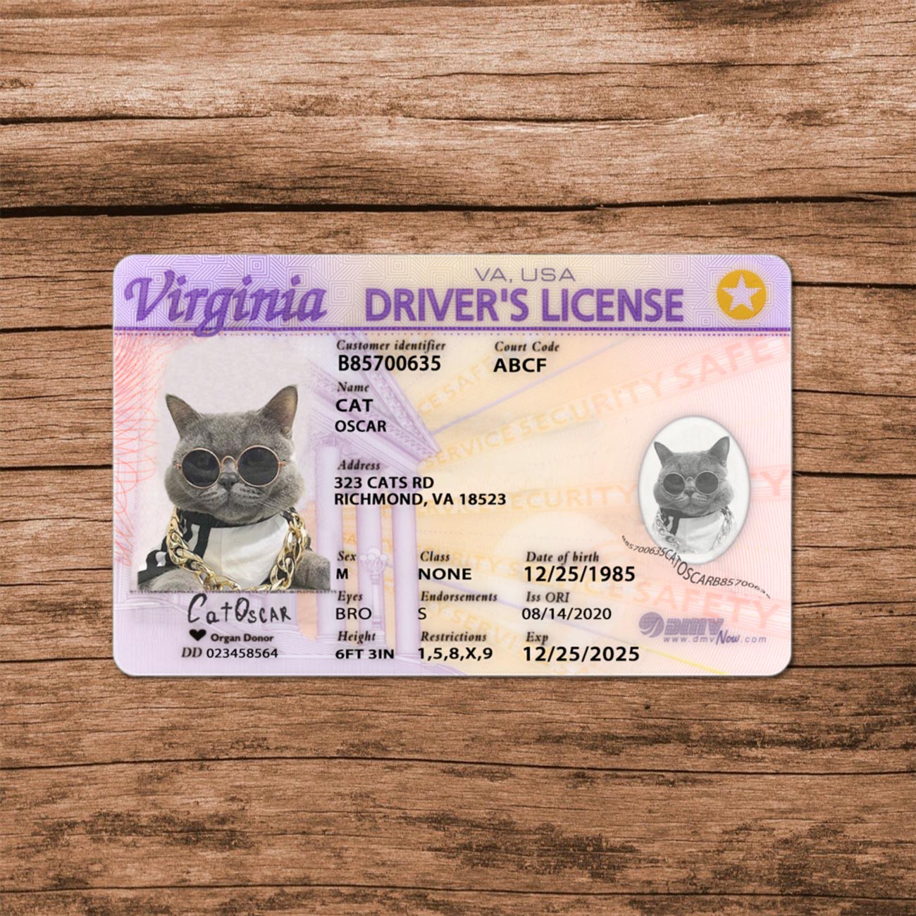 Virginia Template - Image 5