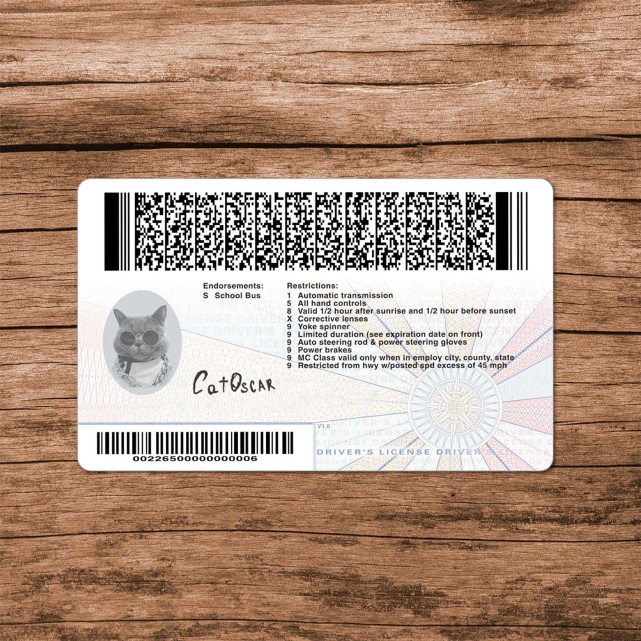 Virginia Template - Image 6